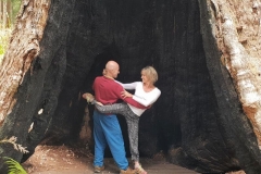 Tour of Western Australia (January 2019)